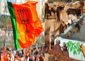 Chhattisgarh breaking :  बड़ी गाड़ियों और विदेशी कुत्ते रखने वालो को क्या पता गाय और गरवा, “चलबो गौठान खोलबो पोल’ अभियान पर अब CM ने दिया करारा जवाब