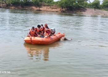 शिवनाथ नदी में मिला युवक का शव, तीन दिन तक चला सर्च ऑपरेशन