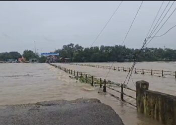 महादेव घाट मार्ग पर बढ़ा जलस्तर, आवागमन बाधित; पुलगांव में शिवनाथ के बढ़े बहाव के चलते गणेश विसर्जन रोका